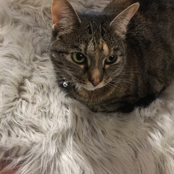 Meet your Posher, Megan - Picture 3 of 8